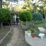 Andjel Apartman Porec