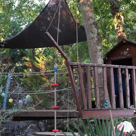 Apartment Andjel Porec