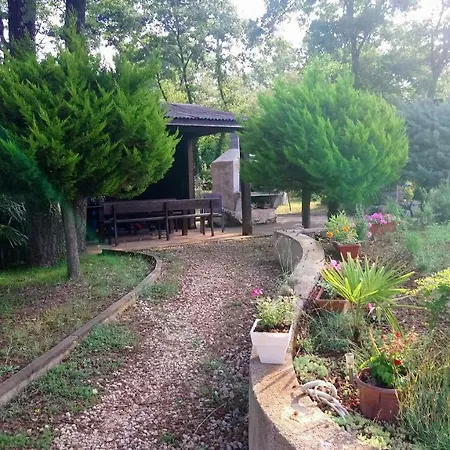 Apartman Andjel *