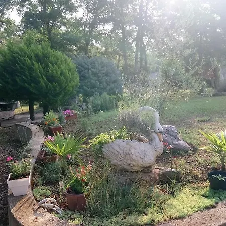 Andjel Apartment Porec